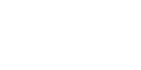 Stake Australia Logo